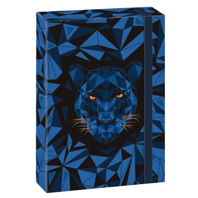 Školský box A4 BLACK PANTHER ARS UNA